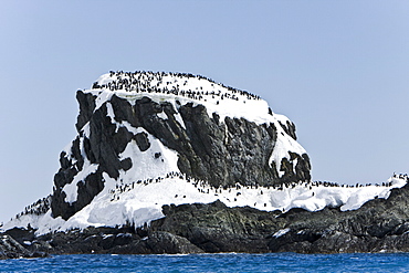 Chinstrap penguin (Pygoscelis antarctica) colony near Point Wild on Elephant Island in the South Shetland Islands