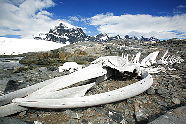 The old British Whaling Station at Port Lockroy and the whalebones across the bay at Point Jougla near Weincke Island, Antarctica.