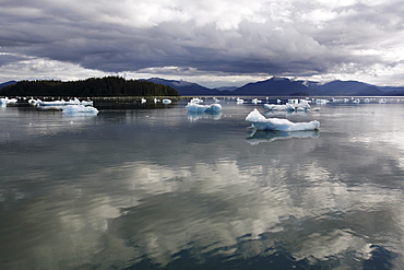 Calved icebergs and bergy bits fallen from the Le Conte Glacier in Le Conte Bay, Southeast Alaska, USA. Le Conte glacier is the southernmost tidewater glacier in the northern hemisphere.