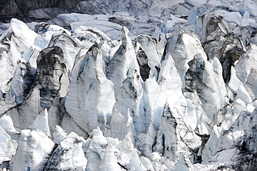 A view of Lamplugh Glacier in Glacier Bay National Park, Southeast Alaska, USA.