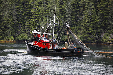 Purse-seiners operating in Red Bluff Bay, Baranof Island, Southeast Alaska. These vessels are fishing for salmon. No property or model release.