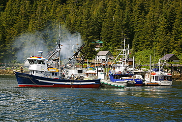 The docks at the town of Baranof Warm Springs on Baranof Island in Southeast Alaska, USA. Pacific Ocean. No model or property releases.