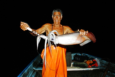 A Mexican fisherman holds up a Jumbo Squid (Dosidicus gigas - also called the Humbolt squid) hand caught at night off the Baja Peninsula, in Santa Rosalia, Baja, Mexico