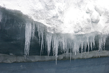 Icebergs and bergy bits melting (note the icicles) in and around the Antarctic Peninsula during the summer months.