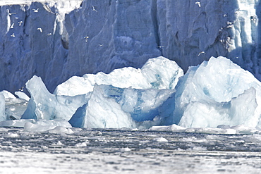 A huge shooter of ice calved from under the Storpollen Glacier, on the southwestern side of Spitsbergen Island in the Svalbard Archipelago, Barents Sea, Norway.