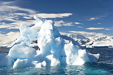 Iceberg detail in and around the Antarctic Peninsula during the summer months. More icebergs are being created as global warming is causing the breakup of major ice shelves and glaciers.