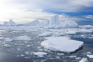 Iceberg detail in and around the Antarctic Peninsula during the summer months. More icebergs are being created as global warming is causing the breakup of major ice shelves and glaciers.