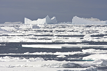 Iceberg detail in and around the Antarctic Peninsula during the summer months. More icebergs are being created as global warming is causing the breakup of major ice shelves and glaciers.