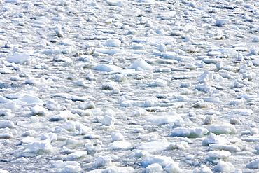 Brash ice detail in and around the Antarctic Peninsula during the summer months. More icebergs are being created as global warming is causing the breakup of major ice shelves and glaciers.