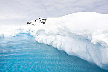 Iceberg detail in and around the Antarctic Peninsula during the summer months. More icebergs are being created as global warming is causing the breakup of major ice shelves and glaciers.