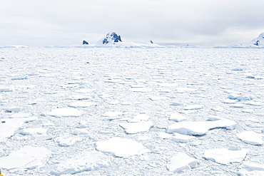 Multi-year ice floes and brash ice near the Antarctic Peninsula.