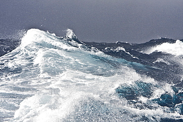 The Drake Passage from aboard the National Geographic Endeavour