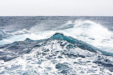 The Drake Passage from aboard the National Geographic Endeavour