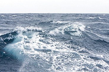 The Drake Passage from aboard the National Geographic Endeavour