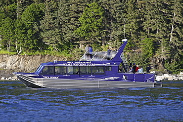 The commercial whale watching vessel "Orca Odyssey", based in Juneau, Southeast Alaska, USA. In the summer of 2006 this vessel struck a humpback whale while on a commercial whale watch.