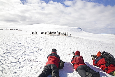 Photographers with adult gentoo penguins (Pygoscelis papua) on Barrentos Island in the Aitcho Island Group, South Shetland Islands, Antarctica