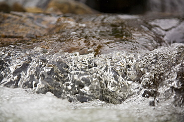 Detail from a waterfall in the small Norwegian summer area in Sandvika Bay on the south side of Svesfjord, Norway.