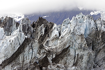 Johns Hopkins Glacier in Glacier Bay National Park, Southeast Alaska, USA.