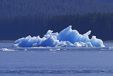 Iceberg/bergy bits calved off Sawyer Glacier in Tracy Arm, Southeasat Alaska, USA. Pacific Ocean.