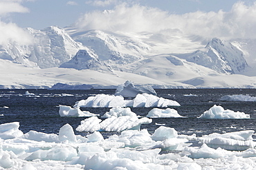 Mist covers the glacierand icebergs and bergy bits lill the bay in Neumayer Channel, Antarctica.