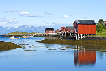 Scenes from in and around the small fishing town of Lovund in northern Norway. Norwegian Sea.