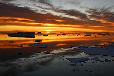 Sunset on fresh sea ice and tabular icebergs in the Weddell Sea, Antarctica.