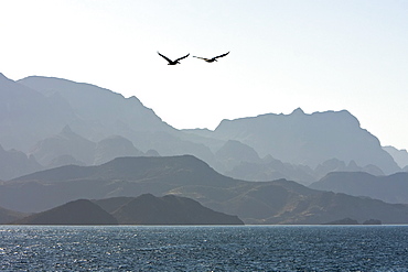 Las Gigantas mountain range from the Gulf of California (Sea of Cortez) just outside of Loreto, Baja California Sur, Mexico. 