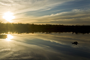 Sunrise light on a brackish lagoon near Cerro Dragon (Dragon hill) on Santa Cruz Island in the Galapagos Island Archipeligo, Ecuador. Pacific Ocean.