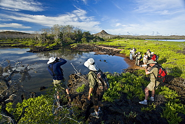 Sunrise light on a brackish lagoon near Cerro Dragon (Dragon hill) on Santa Cruz Island in the Galapagos Island Archipeligo, Ecuador. Pacific Ocean.