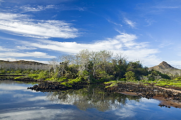 Sunrise light on a brackish lagoon near Cerro Dragon (Dragon hill) on Santa Cruz Island in the Galapagos Island Archipeligo, Ecuador. Pacific Ocean.