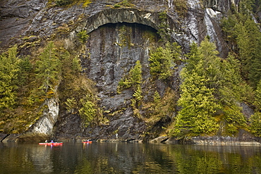 Lindblad Expedition guests and staff from the National Geographic Sea Lion kayaking in Southeast Alaska, USA in the late spring.