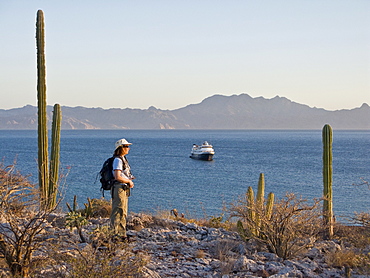 Lindblad expedition leader Sue Perrin viewing the Lindblad expedition ship National Geographic Sea Bird from atop Isla Monseratte in the Gulf of California (Sea of Cortez) and the Baja Peninsula, Mexico.