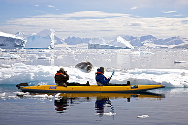 Kayaking with a leopard seal near Danco Island, Antarctica