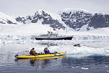 National Geographic photographer Joel Sartore and his wife Kathy kayaking with a leopard seal near Danco Island, Antarctica