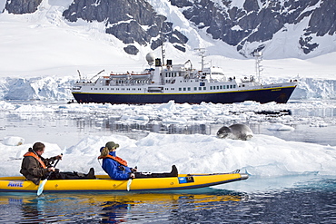 National Geographic photographer Joel Sartore and his wife Kathy kayaking with a leopard seal near Danco Island, Antarctica