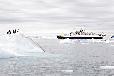 The Lindblad Expedition ship National Geographic Endeavour operating in and around the Antarctic peninsula in Antarctica