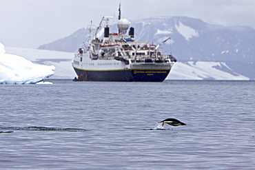 The Lindblad Expedition ship National Geographic Endeavour operating in and around the Antarctic peninsula in Antarctica