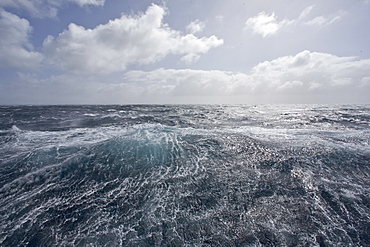 Views of rough seas in the Bransfield Strait between the South Shetland Islands and Antarctic Peninsula