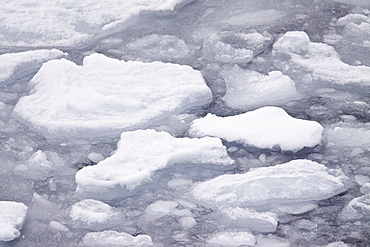 The Lindblad Expeditions ship National Geographic Explorer pushes through ice in Crystal Sound, south of the Antarctic Circle