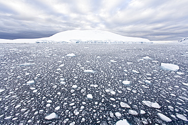 The Lindblad Expedition ship National Geographic Explorer transits Lemaire Channel in late evening light on the west side of the Antarctic peninsula in Antarctica