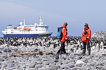 Natural history staff from the Lindblad Expedition ship National Geographic Explorer doing various things in and around the Antarctic Peninsula