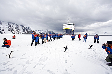 The Lindblad Expedition ship National Geographic Explorer operating in and around the Antarctic peninsula in Antarctica