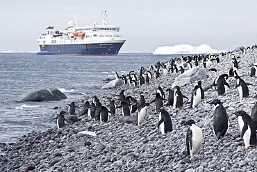 The Lindblad Expedition ship National Geographic Explorer operating in and around the Antarctic peninsula in Antarctica