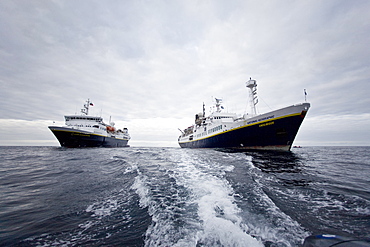 The Lindblad Expedition ships National Geographic Explorer and National Geographic Endeavour, Antarctica