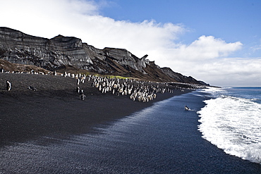 Chinstrap penguin (Pygoscelis antarctica) colony on the Antarctic Peninsula