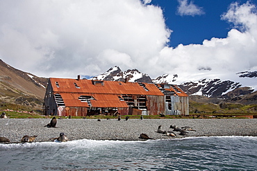 Views of Stromness Whaling Station, South Georgia Island in the Southern Ocean, Antarctica