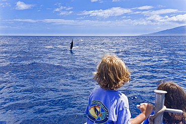 Hawaiian Spinner Dolphin (Stenella longirostris) spinning with young boaters off the coast of Maui, Hawaii, USA. Pacific Ocean