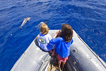 Hawaiian Spinner Dolphin (Stenella longirostris) spinning with young boaters off the coast of Maui, Hawaii, USA. Pacific Ocean