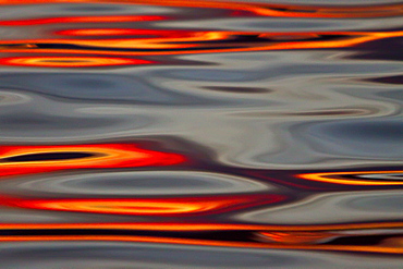 Surreal patterns form in calm waters at sunset in the Gulf of California (Sea of Cortez), Baja California Norte, Mexico.