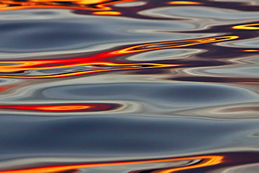 Surreal patterns form in calm waters at sunset in the Gulf of California (Sea of Cortez), Baja California Norte, Mexico.